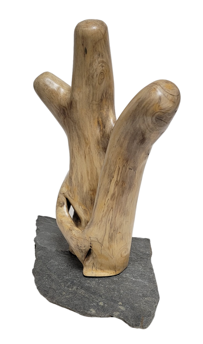 19019 Natural Wood Sculpture, Forest Sculpture, Driftwood Sculpture:  Pterodactyl