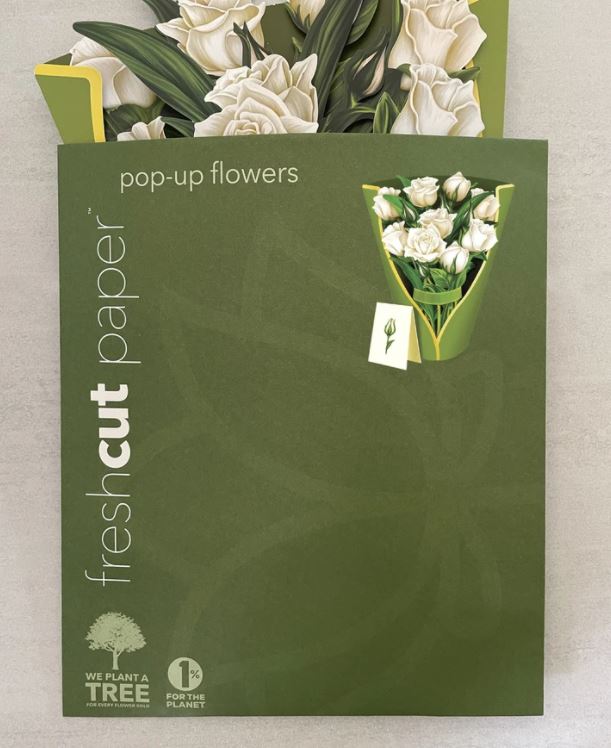 FreshCut Paper - New Popup 3D Paper Flowers and Plants