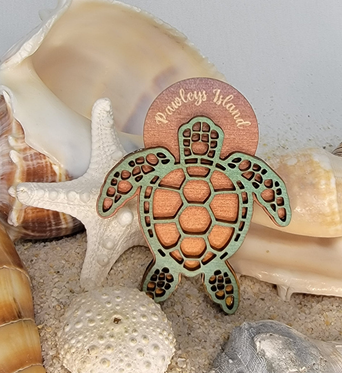 Post Sign Turtle Magnet Turtle Magnets| Personal Handcrafted Displays