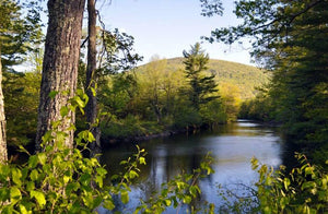 Ashuelot River in Southern New Hampshire!
