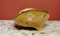 Ambrosia Maple Wood bowl #2044