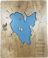 Lake Pacotopdug, Connecticut - Laser Engraved Wood Map Overflow Sale Special