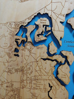Cumberland Island - laser cut wood map