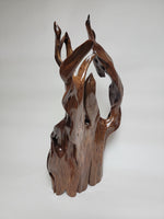 Out of the Ashes Driftwood Sculpture by Jane Cherry