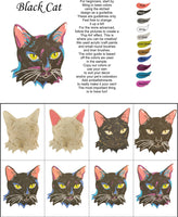 Black Cat-DIY Pop Art Paint Kit - Personal Handcrafted Displays