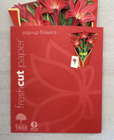 Red Amaryllis Paper Flower Bouquet