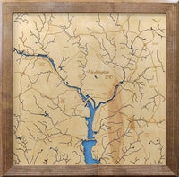 Washington DC - laser cut wood map