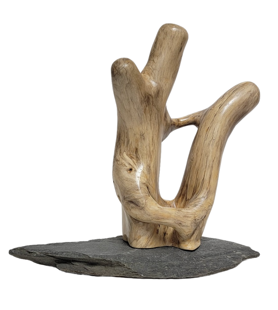 19019 Natural Wood Sculpture, Forest Sculpture, Driftwood Sculpture:  Pterodactyl